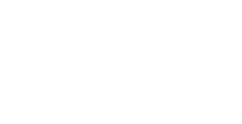 Meta-Business-Partner_logo white